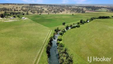 Mixed Farming For Sale - NSW - Inverell - 2360 - 'Westman' - Signature New England Property  (Image 2)