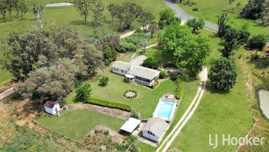 Mixed Farming For Sale - NSW - Inverell - 2360 - 'Westman' - Signature New England Property  (Image 2)