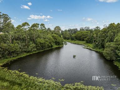 House For Sale - QLD - Ocean View - 4521 - Charming 2-Bedroom Home with Exceptional Shed & Expansive Land  (Image 2)