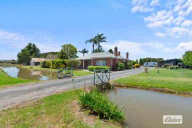 House For Sale - VIC - Sale - 3850 - Rural Property In Town  (Image 2)