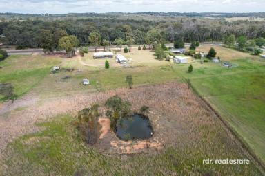 Lifestyle For Sale - NSW - Inverell - 2360 - COUNTRY LIVING BECKONS!  (Image 2)