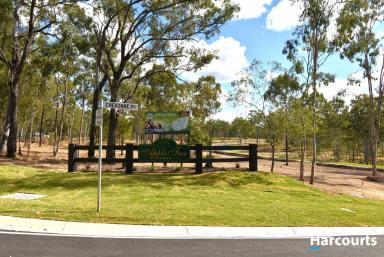 Residential Block For Sale - QLD - Apple Tree Creek - 4660 - PRICED TO SELL!  (Image 2)