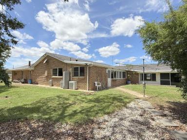 House For Sale - NSW - Moree - 2400 - MINUTES FROM TOWN… MILES FROM ANYWHERE  (Image 2)