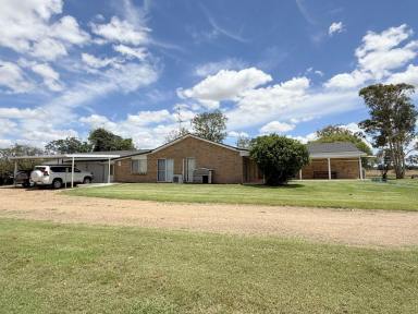 House For Sale - NSW - Moree - 2400 - MINUTES FROM TOWN… MILES FROM ANYWHERE  (Image 2)