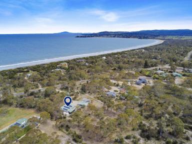 House For Sale - TAS - Dolphin Sands - 7190 - Blissful Coastal Acreage Retreat with Multiple Options  (Image 2)