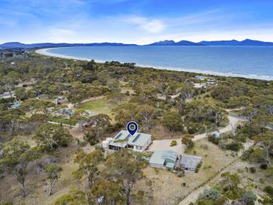 House For Sale - TAS - Dolphin Sands - 7190 - Blissful Coastal Acreage Retreat with Multiple Options  (Image 2)