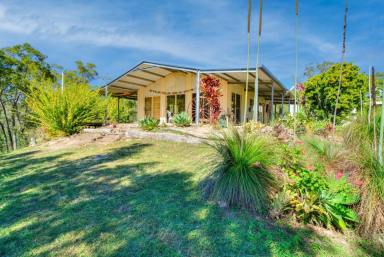 Lifestyle For Sale - QLD - Captain Creek - 4677 - ESCAPE TO YOUR OFF-GRID PARADISE – A TRANQUIL 52-ACRE LIFESTYLE PROPERTY  (Image 2)