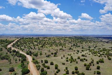 Other (Rural) For Sale - QLD - Harrami - 4630 - Harrami Bullock & Backgrounding Country  (Image 2)