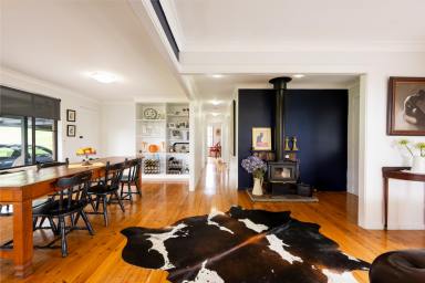 House For Sale - NSW - Bellingen - 2454 - Spacious 5 bedroom home on 2156*sqm of land with views of the mountains  (Image 2)