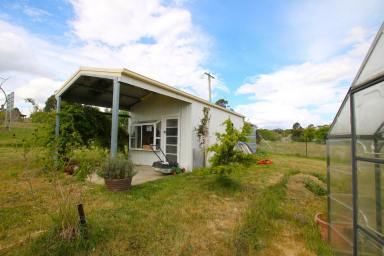 House For Sale - NSW - Nimmitabel - 2631 - A Serene Haven  (Image 2)