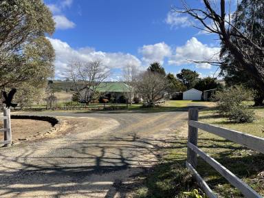 House For Sale - NSW - Bombala - 2632 - Quintessential Country Lifestyle  (Image 2)