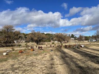 Residential Block For Sale - NSW - Cooma - 2630 - Impressive Subdivision Potential  (Image 2)