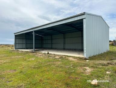 Mixed Farming For Sale - NSW - Inverell - 2360 - ROOM TO MOO-VE  (Image 2)