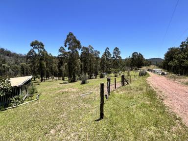 Lifestyle For Sale - NSW - Nymboida - 2460 - 26 ACRES OF BUSHLAND PRIVACY  (Image 2)