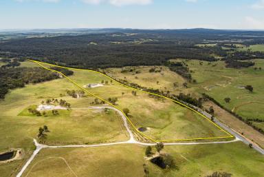 Lifestyle For Sale - NSW - Goulburn - 2580 - Weekend Fun  (Image 2)