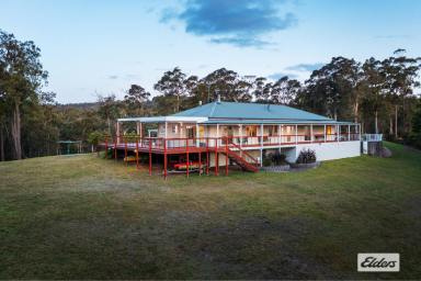 House For Sale - NSW - Kalaru - 2550 - Faultless Home & Location  (Image 2)