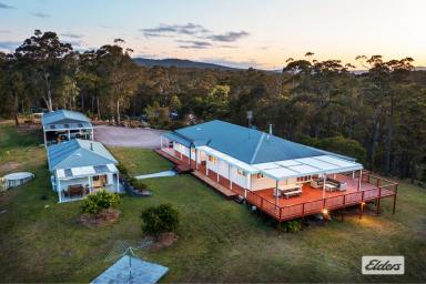 House For Sale - NSW - Kalaru - 2550 - Faultless Home & Location  (Image 2)