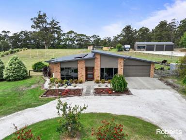 House For Sale - TAS - Wynyard - 7325 - Contemporary Elegance on Lennah Drive on 8250 m²  (Image 2)