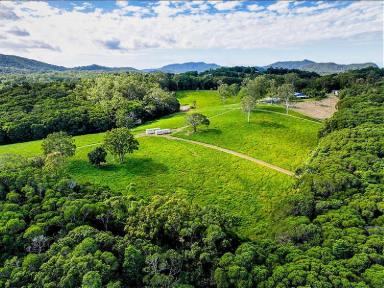 Lifestyle For Sale - QLD - Speewah - 4881 - Heaven in the hills  (Image 2)