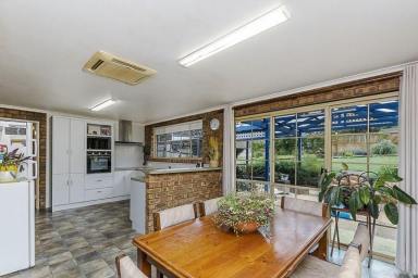 House Sold - VIC - Gorae - 3305 - Embrace Tranquil Country Living on 5 Acres of Picturesque Land  (Image 2)