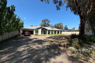 Retirement Leased - VIC - Euroa - 3666 - Stunning Large Family Home!  (Image 2)