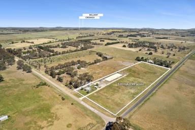 Acreage/Semi-rural For Sale - VIC - Clunes - 3370 - Small acreage - Equine lifestyle  (Image 2)