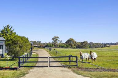 Acreage/Semi-rural For Sale - VIC - Clunes - 3370 - Small acreage - Equine lifestyle  (Image 2)