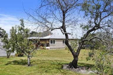 House For Sale - TAS - Nubeena - 7184 - Endless Potential in the Heart of this Quaint Seaside Community!  (Image 2)