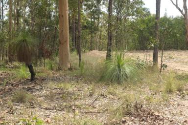 Lifestyle For Sale - NSW - Drake - 2469 - CANT BEAT THE VIEW  (Image 2)