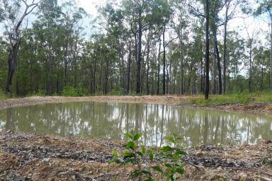 Lifestyle For Sale - NSW - Drake - 2469 - CANT BEAT THE VIEW  (Image 2)