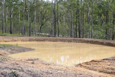 Lifestyle For Sale - NSW - Drake - 2469 - ON TOP OF THE WORLD  (Image 2)