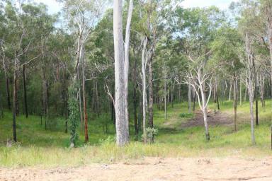 Lifestyle For Sale - NSW - Drake - 2469 - HIDDEN FORREST  (Image 2)