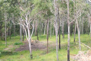 Lifestyle For Sale - NSW - Drake - 2469 - HIDDEN FORREST  (Image 2)