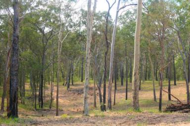 Lifestyle For Sale - NSW - Drake - 2469 - HIDDEN FORREST (Image 2)