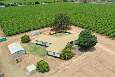 House For Sale - VIC - Nichols Point - 3501 - IT HAS BOTH LOCATION & SIZE  (Image 2)