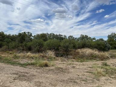 Residential Block For Sale - NSW - Walgett - 2832 - Lot 3 Warrena Street, Walgett  (Image 2)