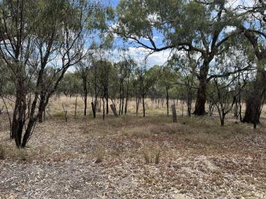 Residential Block For Sale - NSW - Walgett - 2832 - Lot 3 Warrena Street, Walgett  (Image 2)