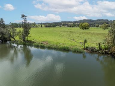 Lifestyle For Sale - NSW - Berry - 2535 - 'Wainu Glen'  (Image 2)