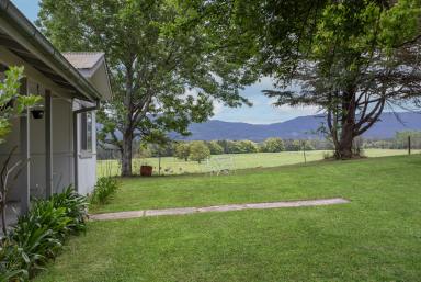 Lifestyle For Sale - NSW - Berry - 2535 - 'Wainu Glen'  (Image 2)