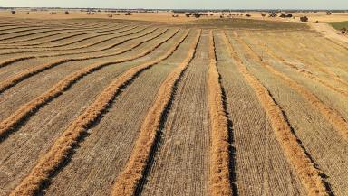 Mixed Farming Auction - SA - Senior - 5268 - "Clayfields"  -  A Hidden Gem  (Image 2)