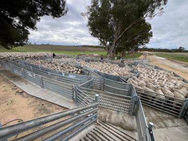 Mixed Farming For Sale - SA - Senior - 5268 - "Clayfields"  -  A Hidden Gem  (Image 2)