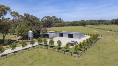 Acreage/Semi-rural For Sale - VIC - Merricks North - 3926 - Premium Farming & Lifestyle Opportunity  (Image 2)