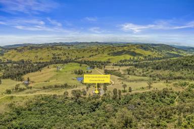 Lifestyle Sold - NSW - Singleton - 2330 - The Views are Something Special.......114.9 Hectares (283 Acres)*  (Image 2)