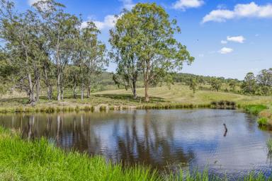 Lifestyle For Sale - NSW - Singleton - 2330 - The Views are Something Special.......114.9 Hectares (283 Acres)*  (Image 2)