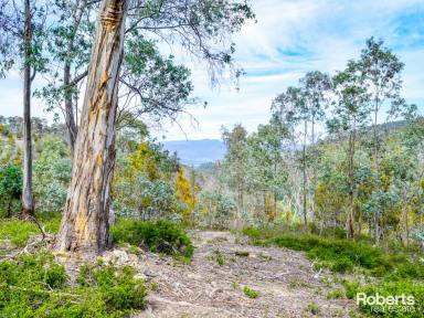 Residential Block For Sale - TAS - Magra - 7140 - Beautiful, Serene Bush Block  (Image 2)