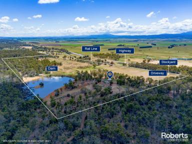 Other (Rural) For Sale - TAS - Cleveland - 7211 - Rural living with multiple options! Over 100 acres, lovely homestead, huge dam, 6 pasture paddocks, 4 large sheds, all 30 minutes South of Launceston.  (Image 2)