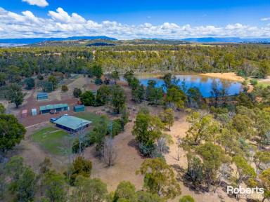 Other (Rural) For Sale - TAS - Cleveland - 7211 - Blue chip rural living at it's best! Over 36 Ha's, lovely homestead, huge dam, 6 pasture paddocks, 4 large sheds, all 30 minutes South of Launceston.  (Image 2)