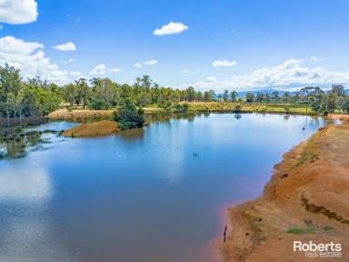 Other (Rural) For Sale - TAS - Cleveland - 7211 - Blue chip rural living at it's best! Over 36 Ha's, lovely homestead, huge dam, 6 pasture paddocks, 4 large sheds, all 30 minutes South of Launceston.  (Image 2)