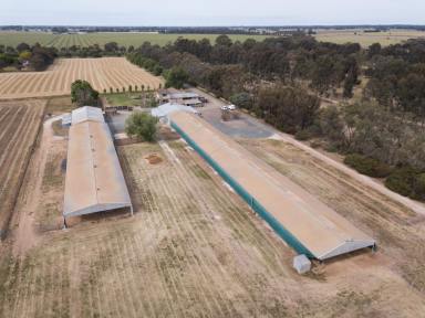 Mixed Farming For Sale - VIC - Kyabram - 3620 - Exceptional Rural Retreat: A Perfect Blend of Productivity and Lifestyle  (Image 2)