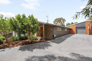 House For Sale - VIC - Kennington - 3550 - First Home, Secure Investment Or Effortless Next Step  (Image 2)